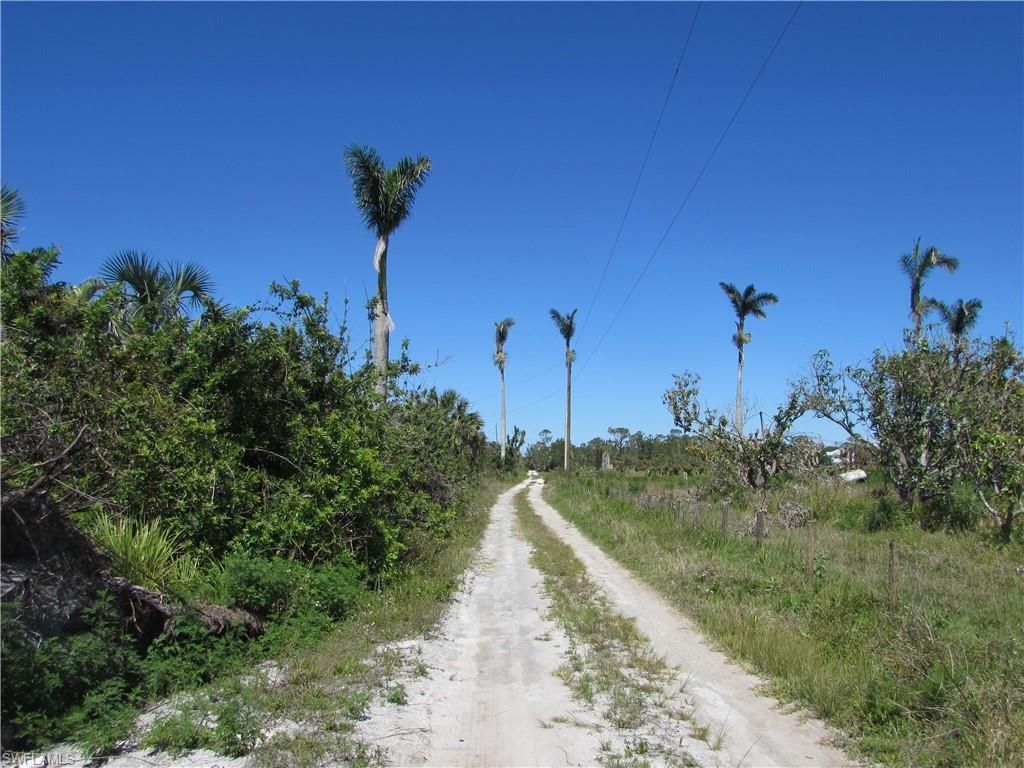 MLS #223022463 image #5