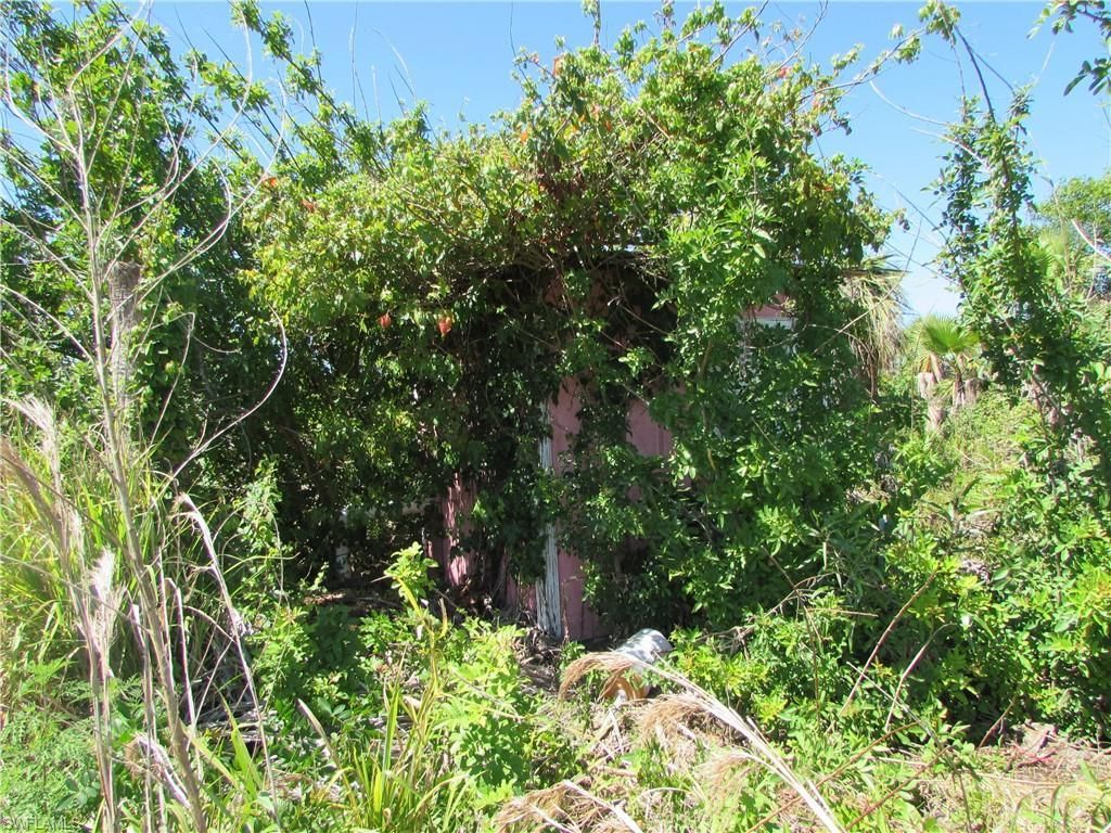 MLS #223022463 image #6