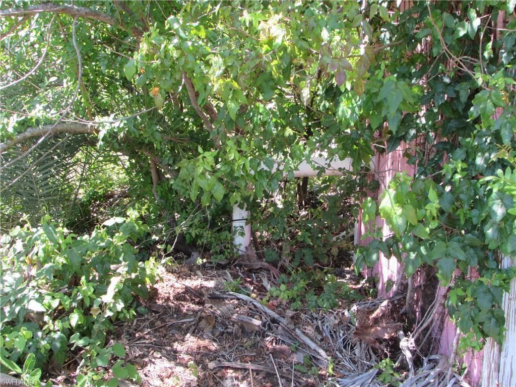 MLS #223022463 image #8