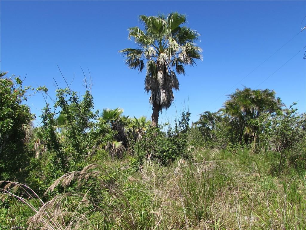 MLS #223022463 image #9