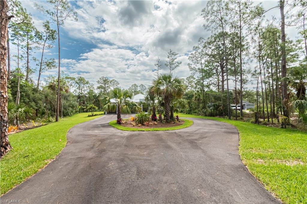 MLS #223024011 image #4