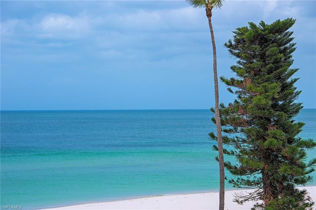 MLS #223028062 image #3