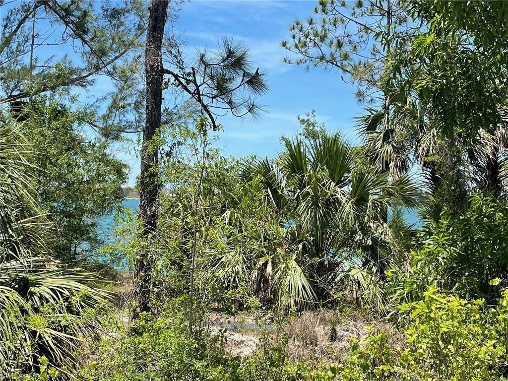 MLS #223032284 image #2