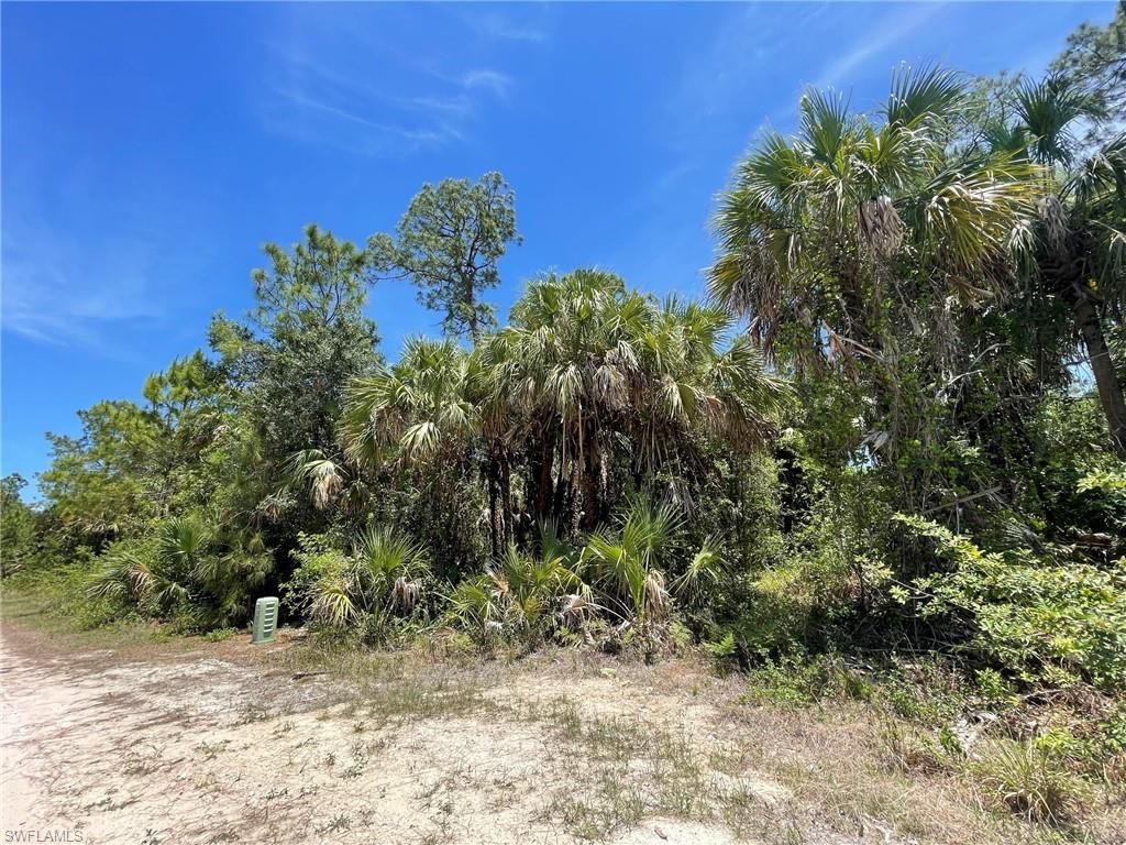 MLS #223032284 image #3