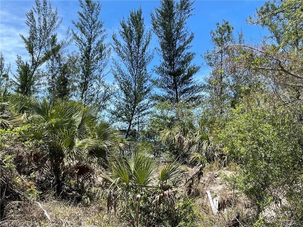 MLS #223032284 image #4