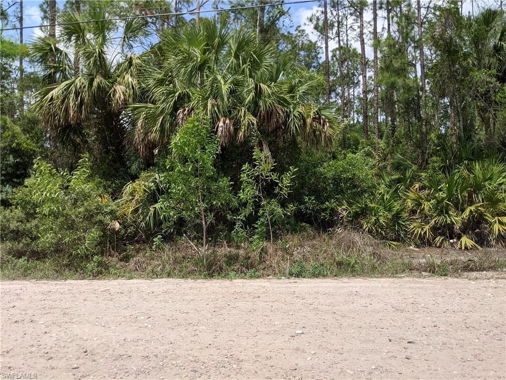 MLS #223034421 image #4