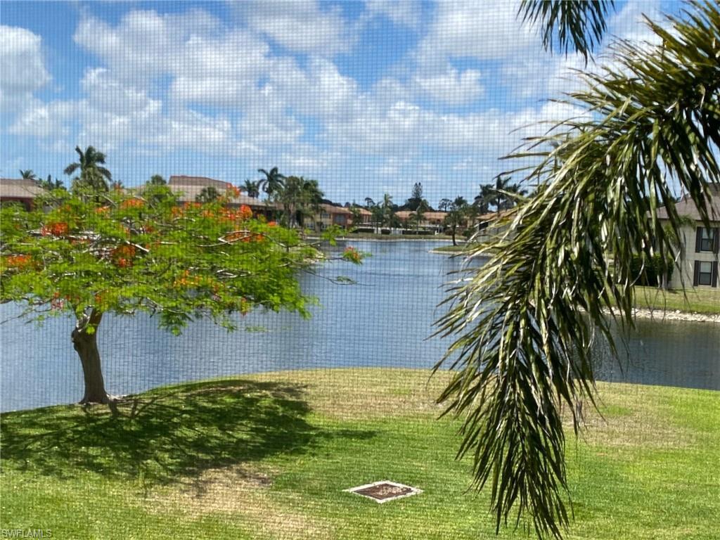 MLS #223035751 image #4