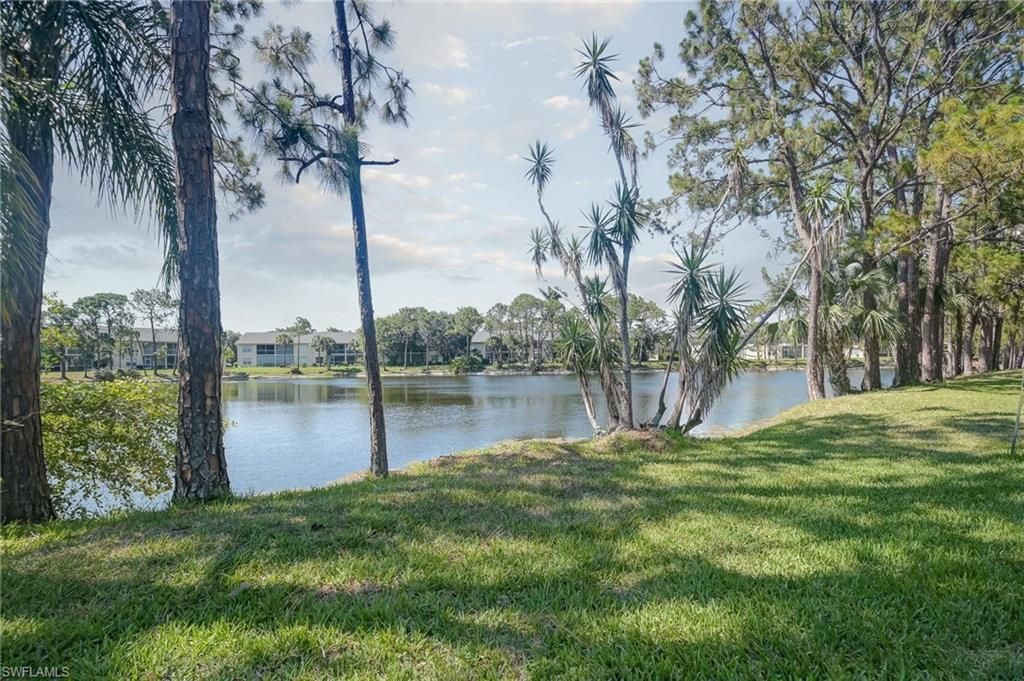 MLS #223038127 image #3