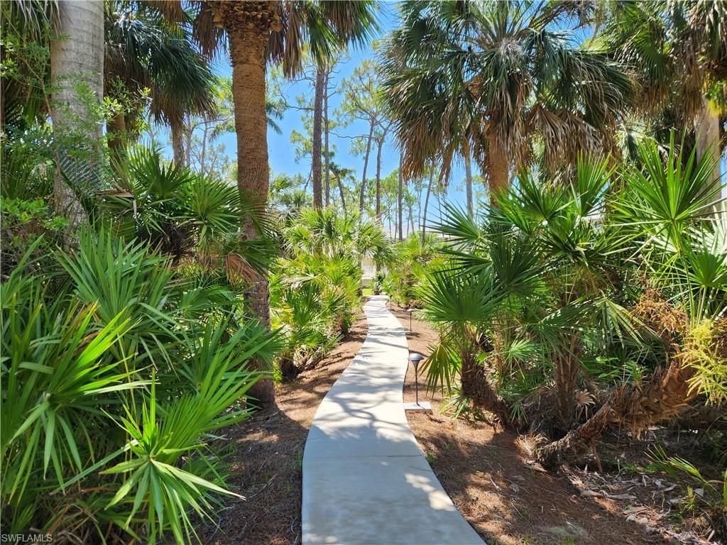 MLS #223040525 image #4