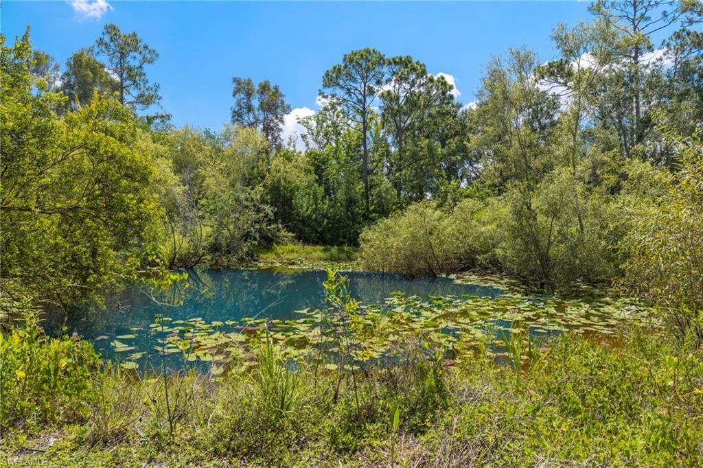 MLS #223044337 image #3