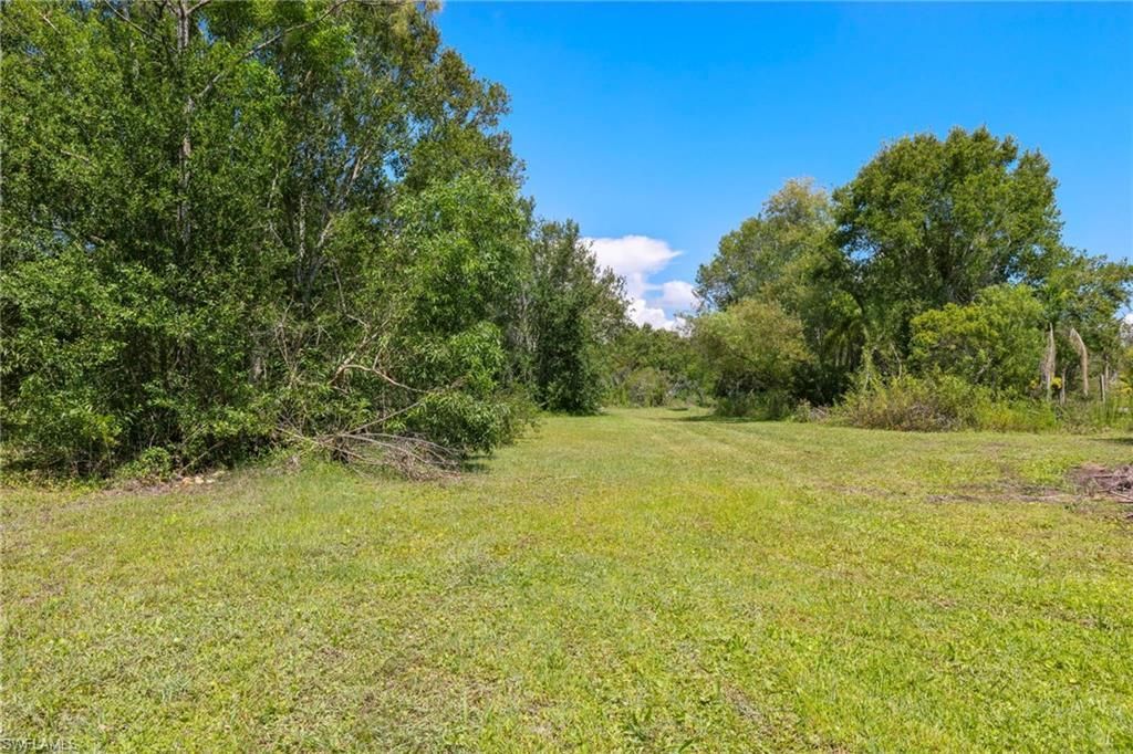 MLS #223044337 image #5