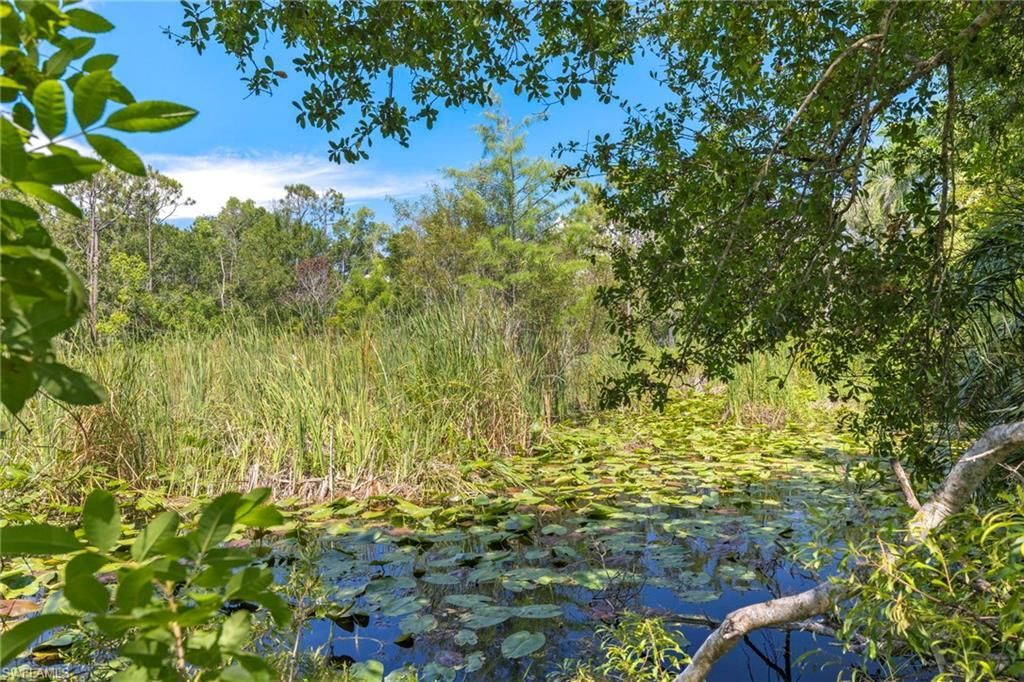 MLS #223044337 image #6