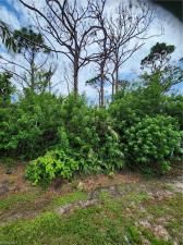 MLS #223044912 image #0