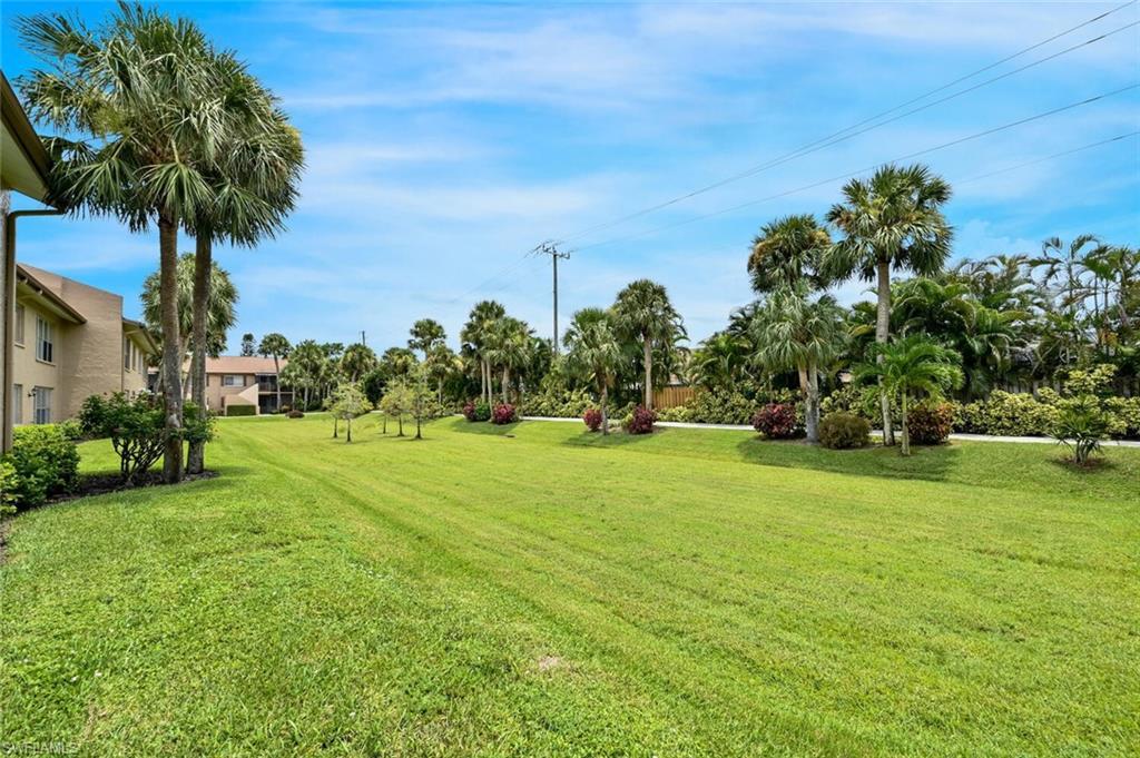 MLS #223054503 image #4