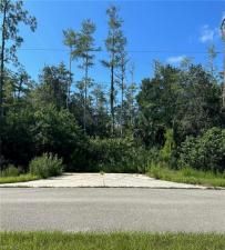 MLS #223056000 image #3