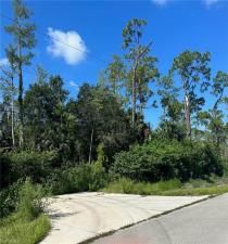 MLS #223056000 image #4