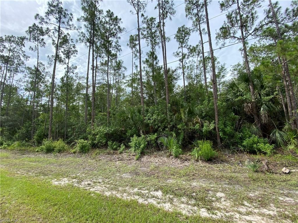 MLS #223056236 image #1