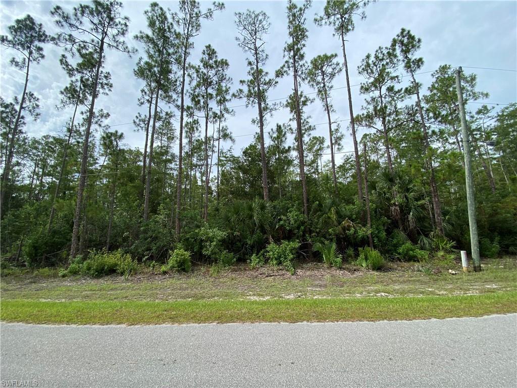 MLS #223056236 image #2