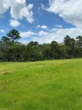 MLS #223056768 image #3