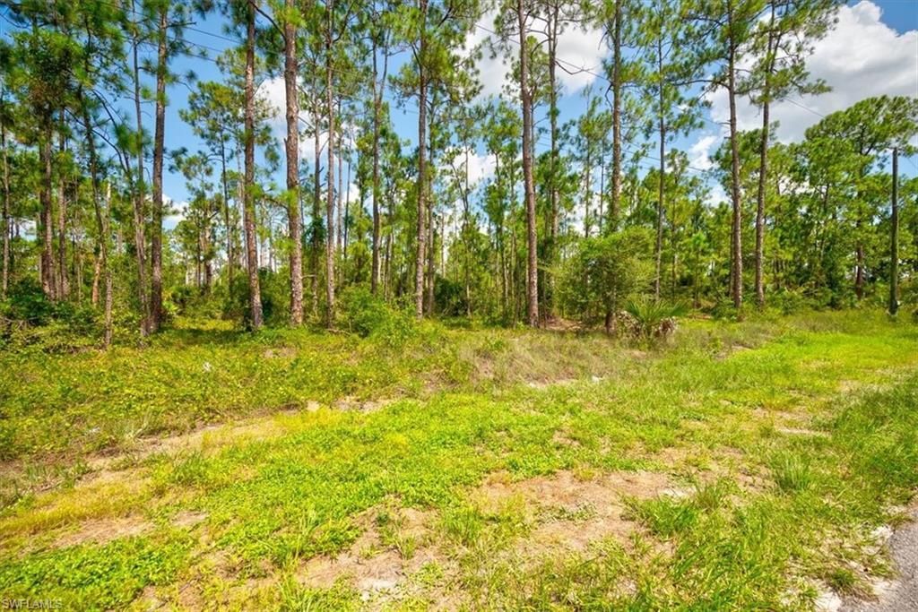 MLS #223058455 image #1