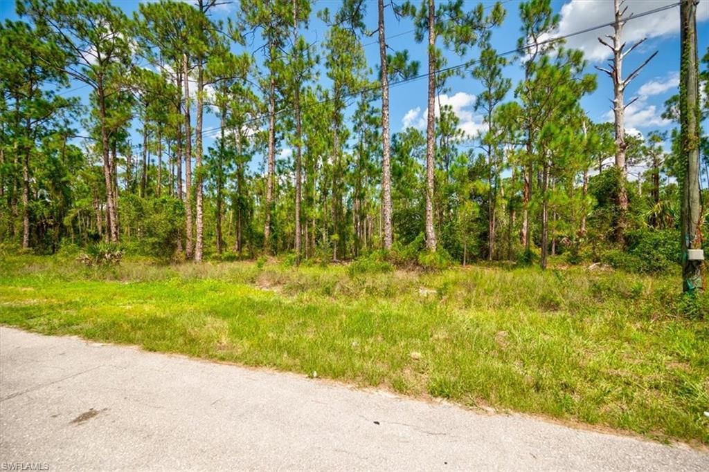 MLS #223058455 image #3