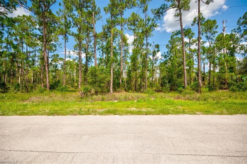 MLS #223058455 image #4