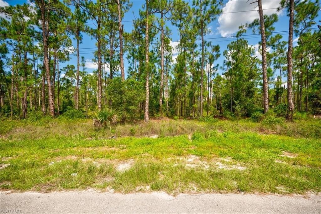 MLS #223058455 image #5