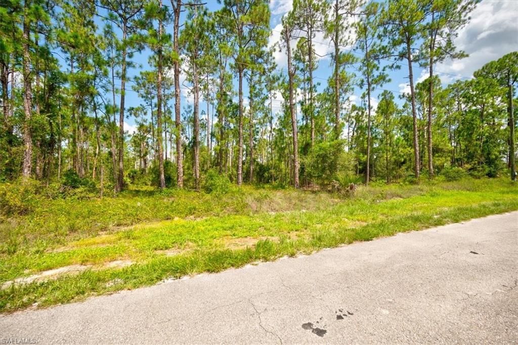 MLS #223058455 image #6