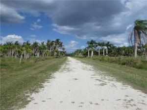 MLS #223061233 image #10