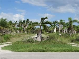 MLS #223061233 image #13