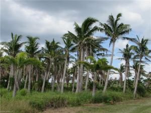 MLS #223061233 image #18