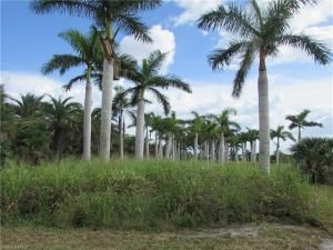 MLS #223061233 image #19