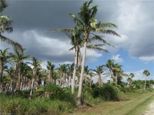 MLS #223061233 image #34