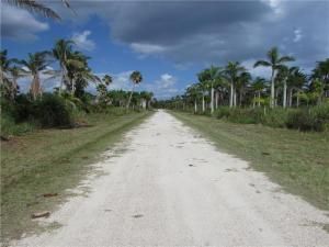 MLS #223061233 image #35