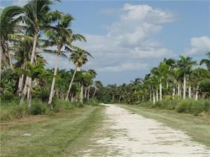 MLS #223061233 image #36