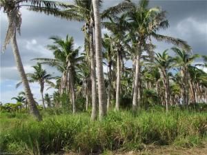 MLS #223061233 image #6