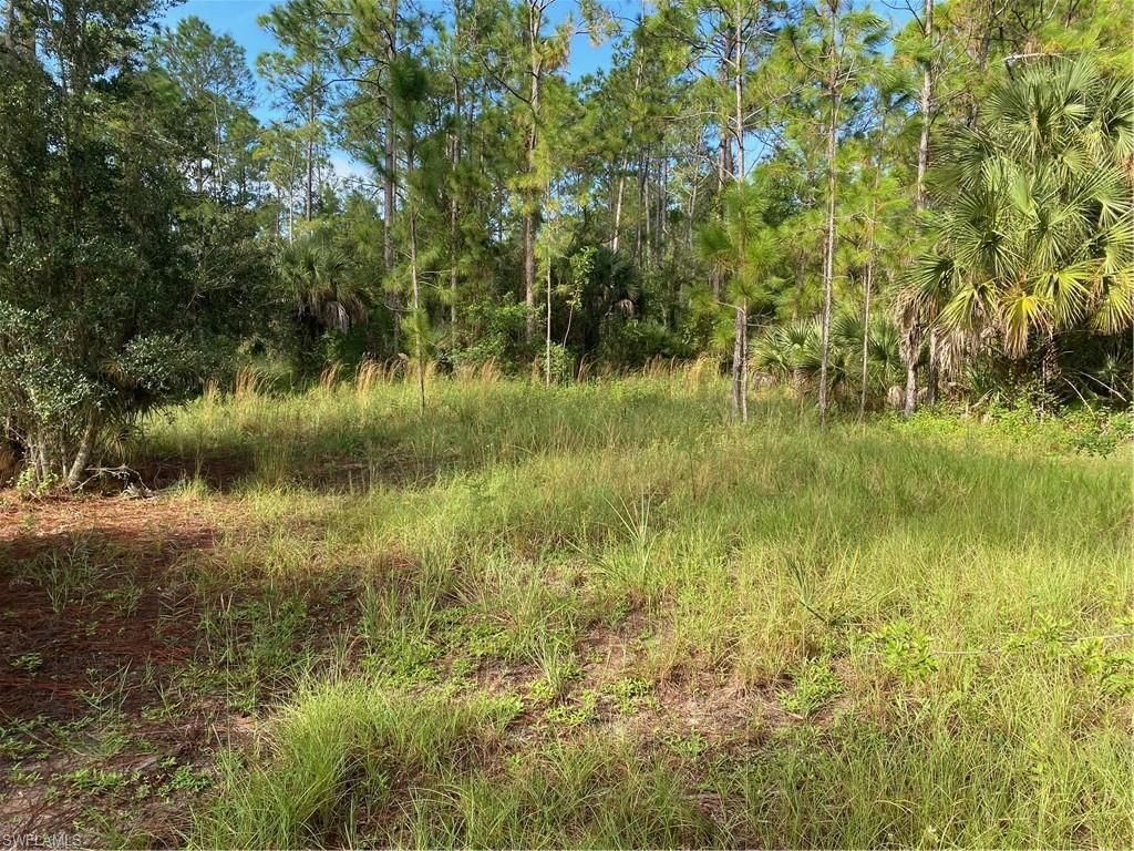 MLS #223063513 image #3