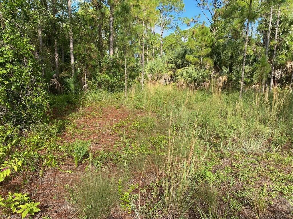 MLS #223063513 image #4