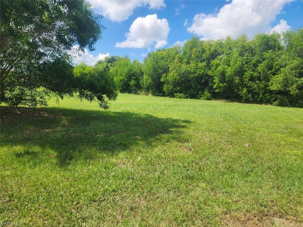 MLS #223065705 image #4