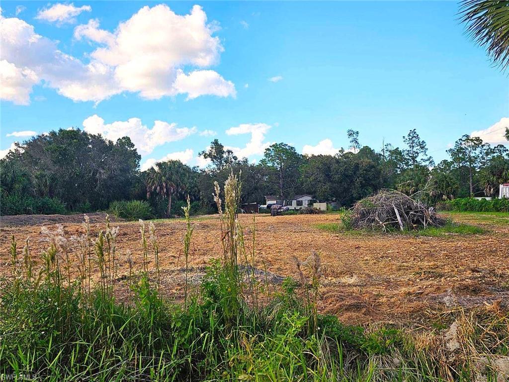 MLS #223068466 image #2