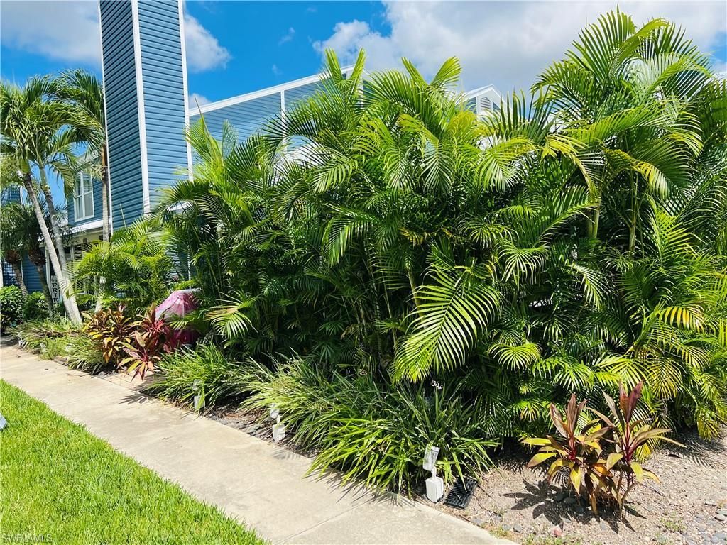 MLS #223070925 image #1