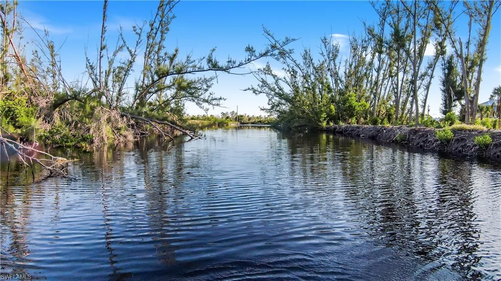 MLS #223078692 image #3