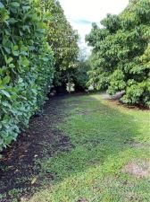 MLS #223086320 image #2