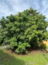 MLS #223086320 image #3