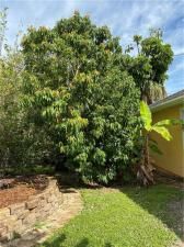 MLS #223086320 image #4