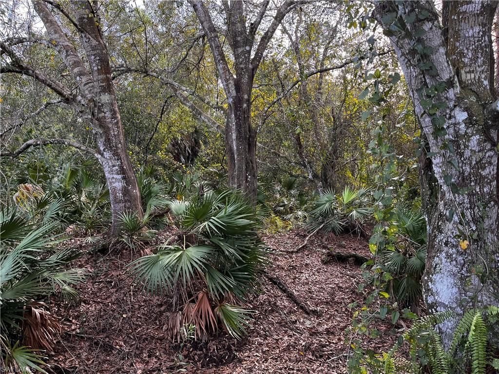 MLS #223090672 image #2