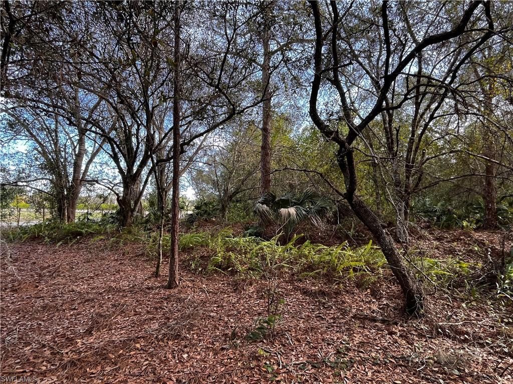 MLS #223090672 image #3