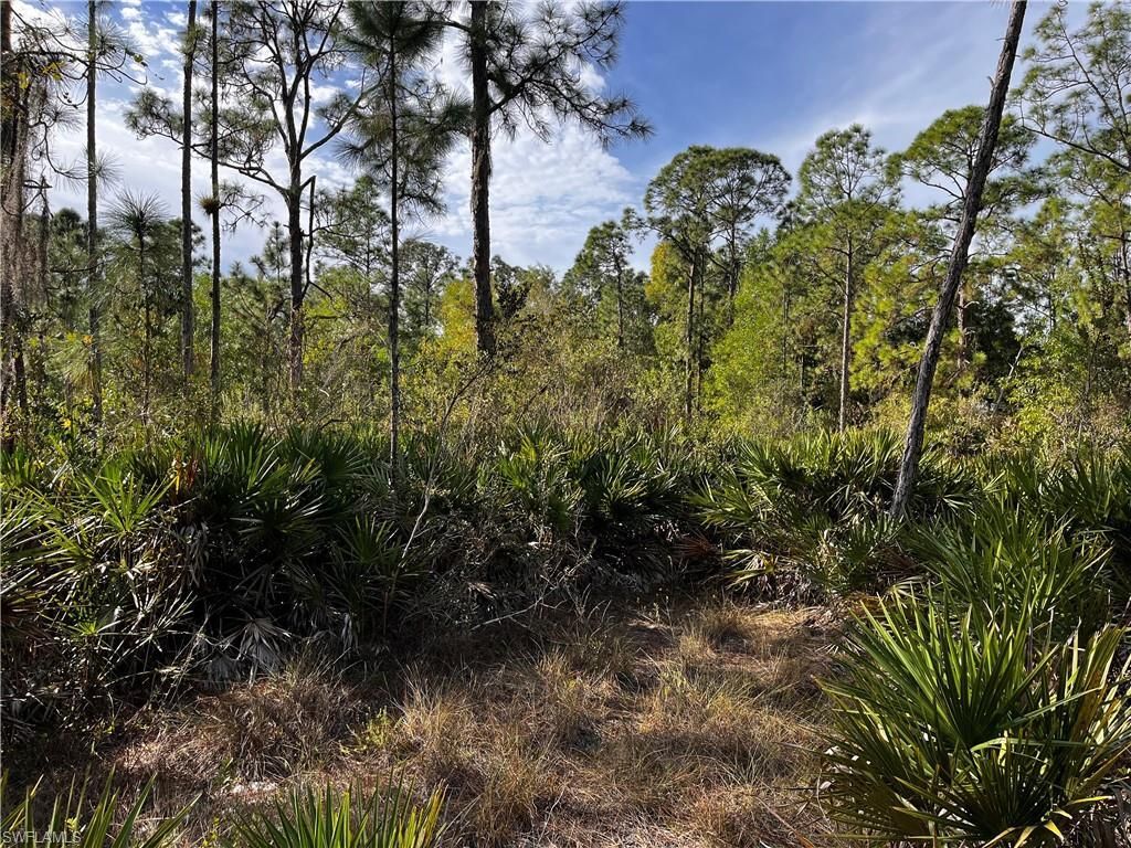MLS #223090672 image #4