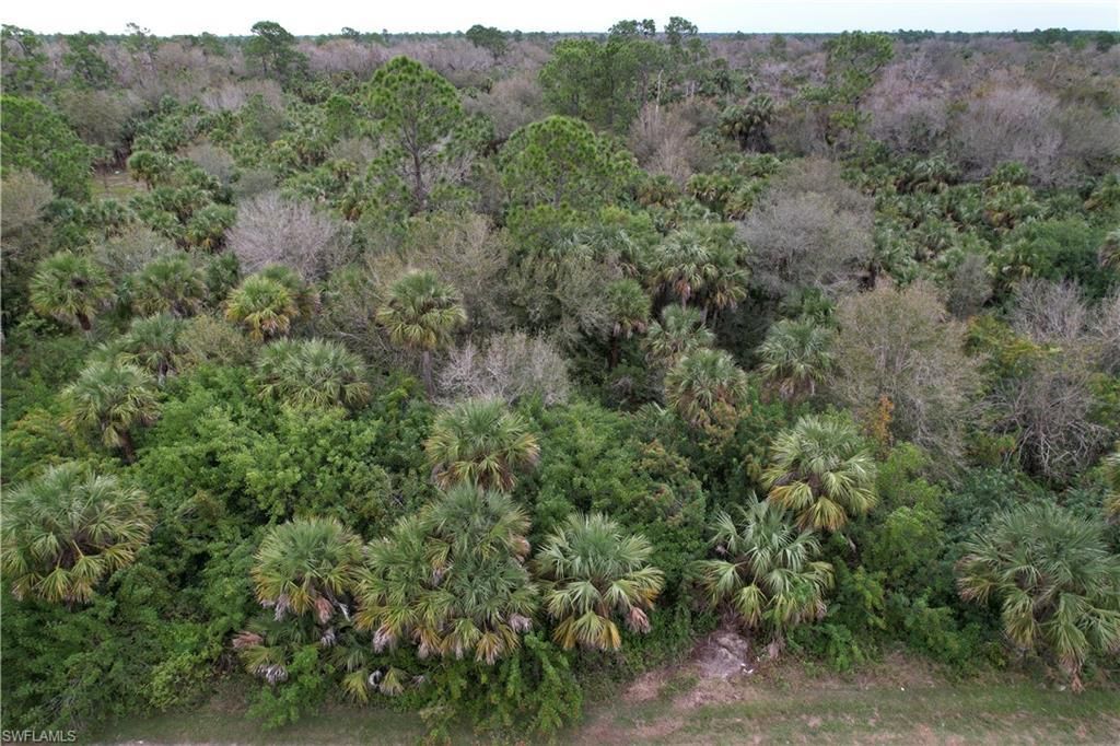 MLS #223091606 image #4