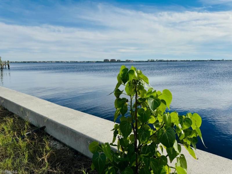 MLS #223092173 image #6